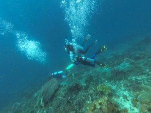Les plus beaux spots de snorkeling et Plongée sous-marine à Lombok