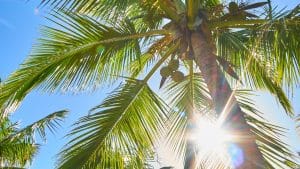Hôtels, Airbnb, Gîtes : Quel Type d&rsquo;Hébergement Choisir pour Profiter au Maximum de Vos Vacances ?