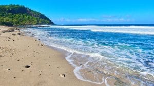 Où faire du snorkeling à La Réunion ? Découvrez les meilleurs spots à ne pas manquer !