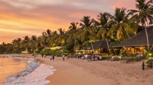 Canggu Bali : idées originales pour vivre une expérience authentique