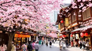 Que visiter au Japon en 15 jours pour un voyage inoubliable