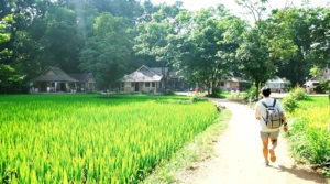 Quand visiter Vietnam pour profiter du meilleur climat et paysages